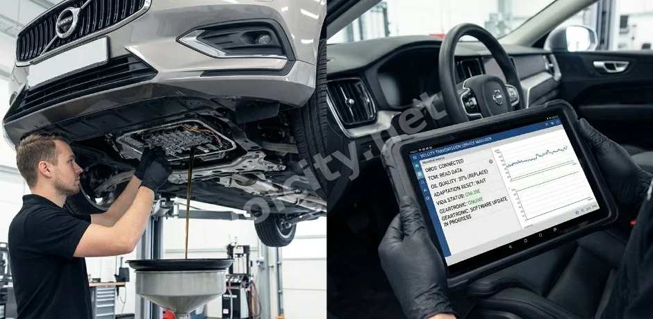 Şanzıman Sağlığı ve Yazılım Adaptasyonu